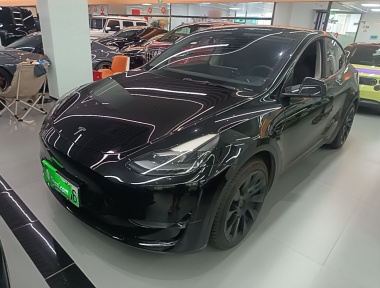 Tesla Model Y 2021 car image 