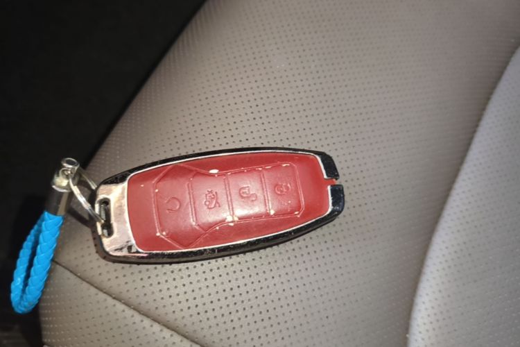 BYD Han 2021 #14 BYD Han 2021 car image #14