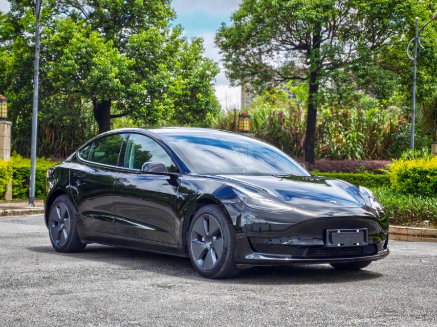 Tesla Model 3 2022 Tesla Model 3 2022 car image