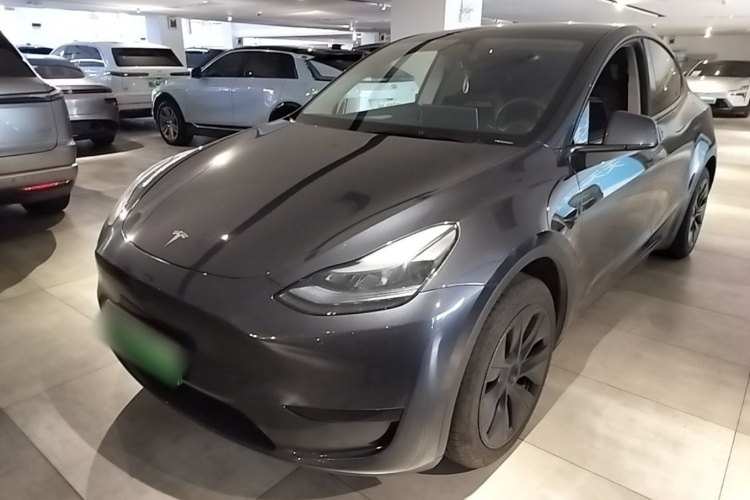 Tesla Model Y 2024 car image #2