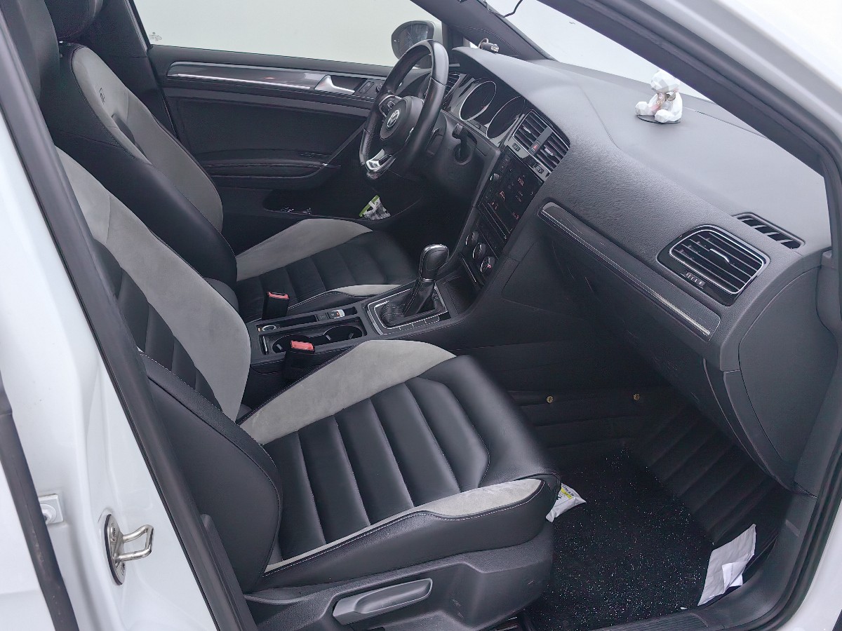 Volkswagen Golf 2019 #10 Volkswagen Golf 2019 car image #10