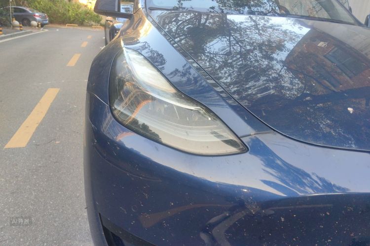 Tesla Model Y 2022 #8 Tesla Model Y 2022 car image #8
