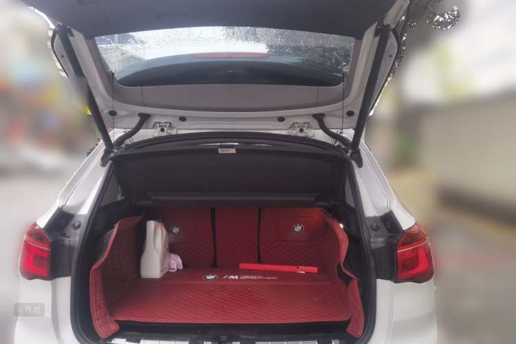 BMW X1 2017 immagine di auto #21