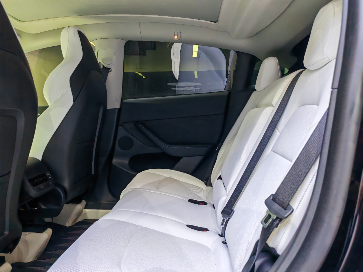 Tesla Model Y 2024 car image #5