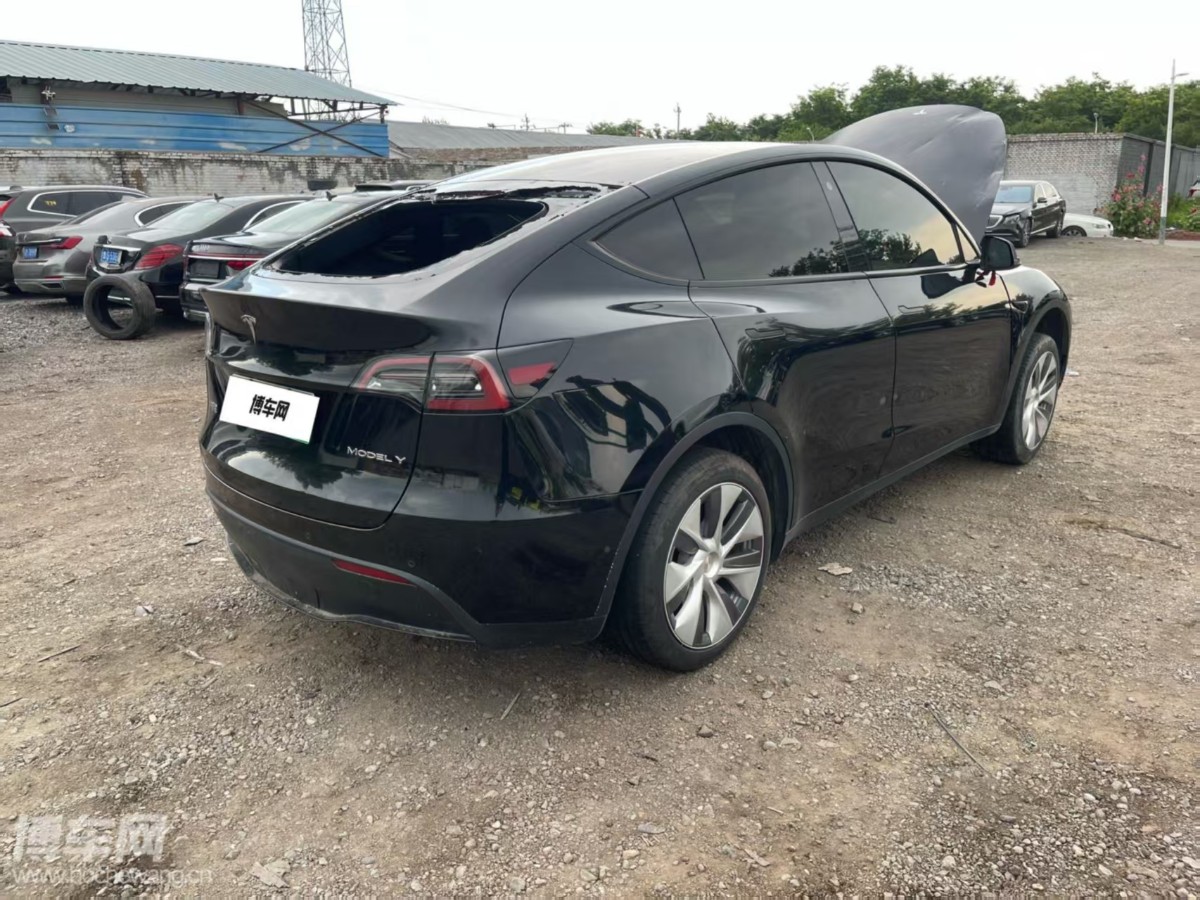 Tesla Model Y 2022 car image #10