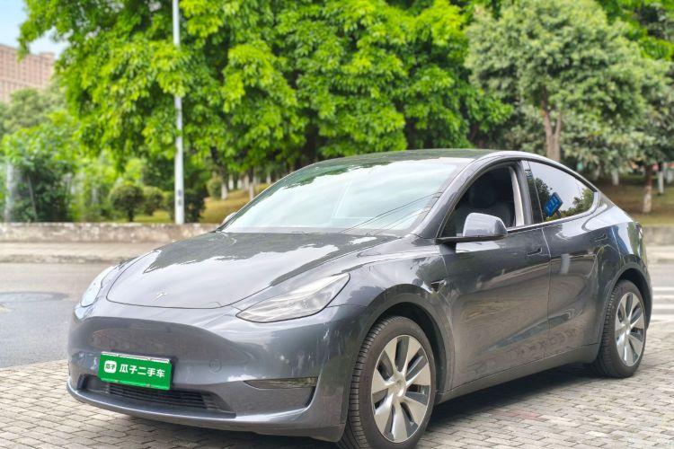 Tesla Model Y 2021 #2 Tesla Model Y 2021 car image #2