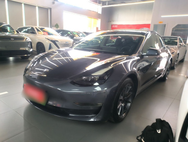 Tesla Model 3 2022 Tesla Model 3 2022 car image