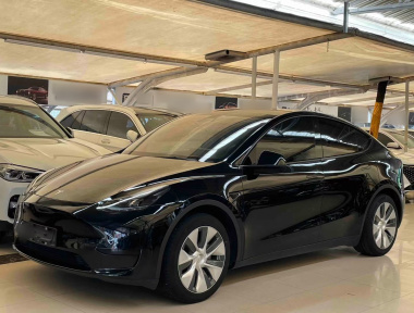 Tesla Model Y 2022 Tesla Model Y 2022 car image