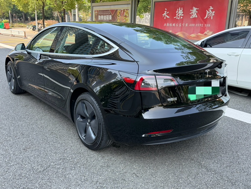 Tesla Model 3 2020 car image #8