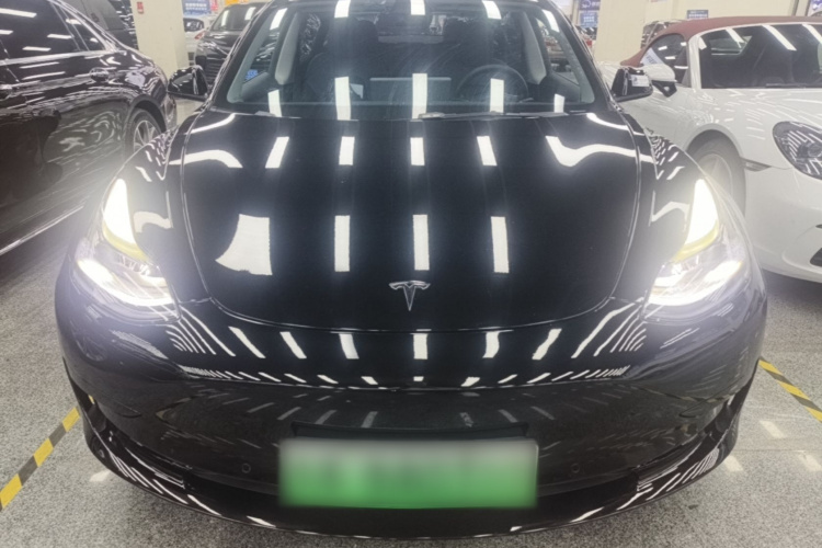 Tesla Model 3 2021 #3 Tesla Model 3 2021 car image #3