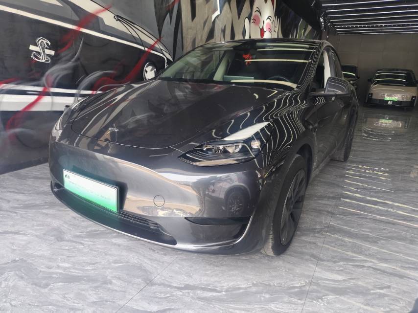 Tesla Model Y 2024 car image 