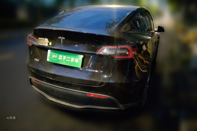 Tesla Model Y 2021 car image #7