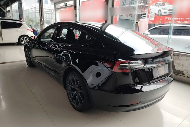 Tesla Model 3 2023 #7 Tesla Model 3 2023 car image #7