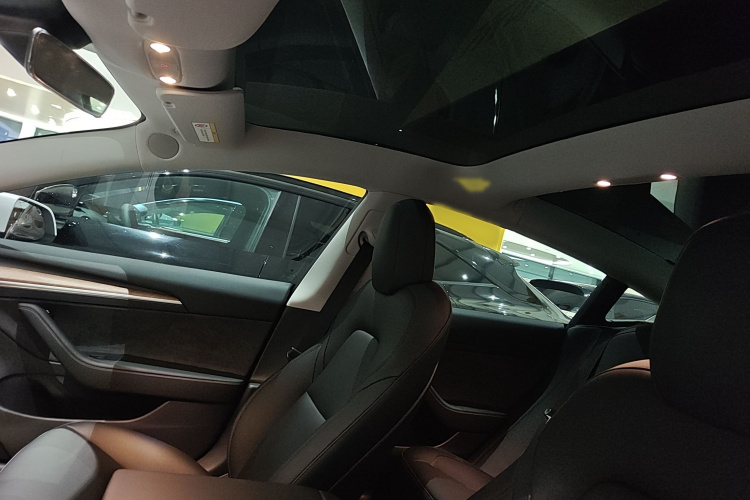 Tesla Model 3 2021 immagine di auto #11