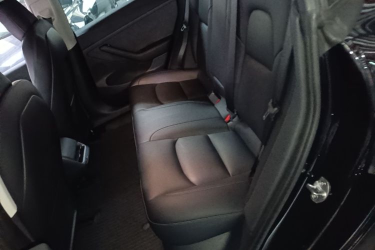 Tesla Model 3 2022 car image #13