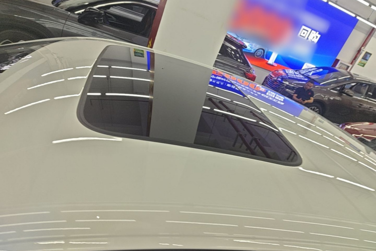 Volkswagen Bora 2023 car image #25