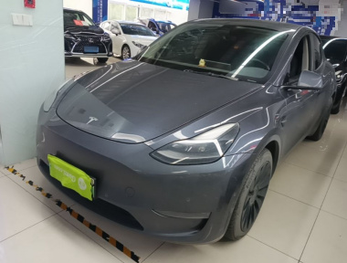 Tesla Model Y 2021 immagine di auto 