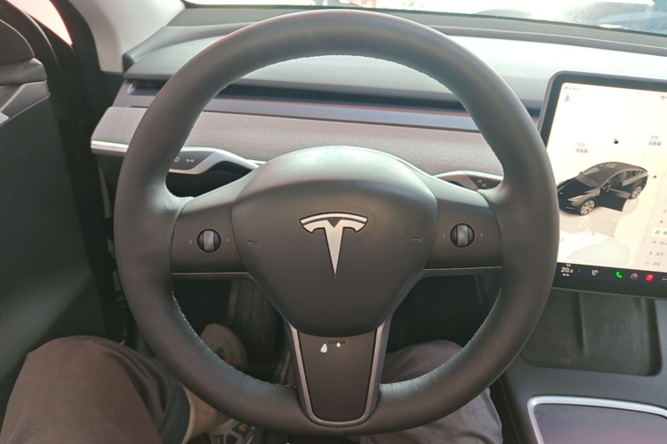 Tesla Model Y 2022 car image #11