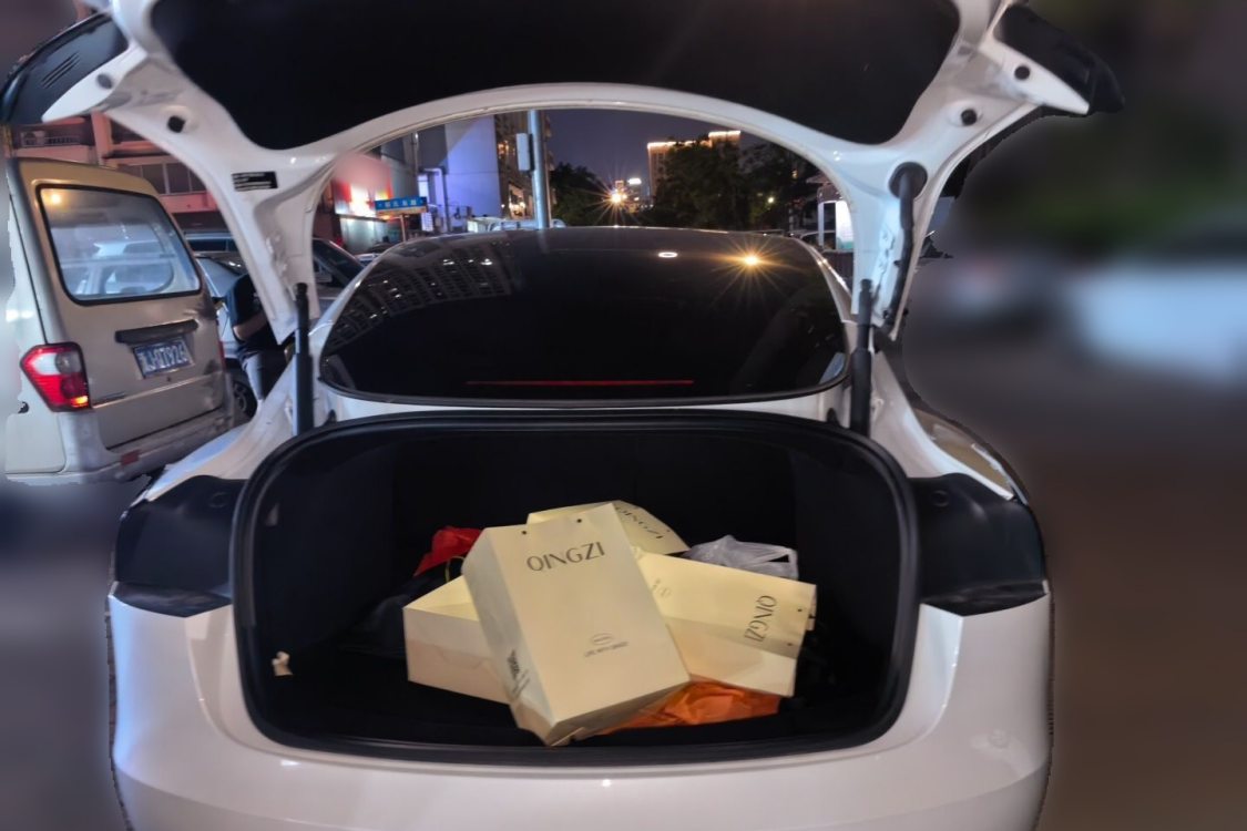 Tesla Model 3 2024 #8 Tesla Model 3 2024 car image #8