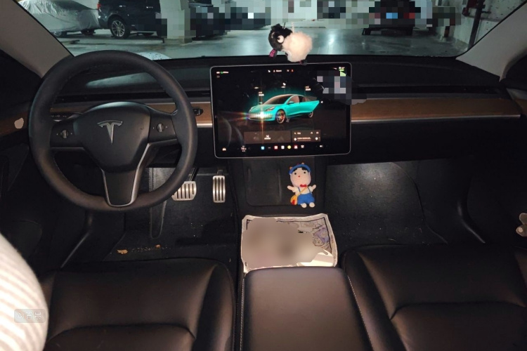 Tesla Model 3 2022 #11 Tesla Model 3 2022 car image #11