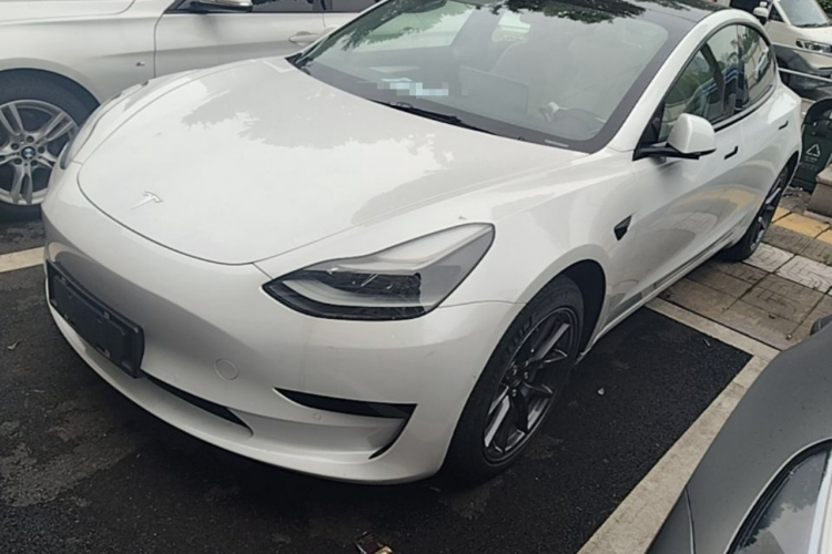 Tesla Model 3 2021 #2 Tesla Model 3 2021 car image #2