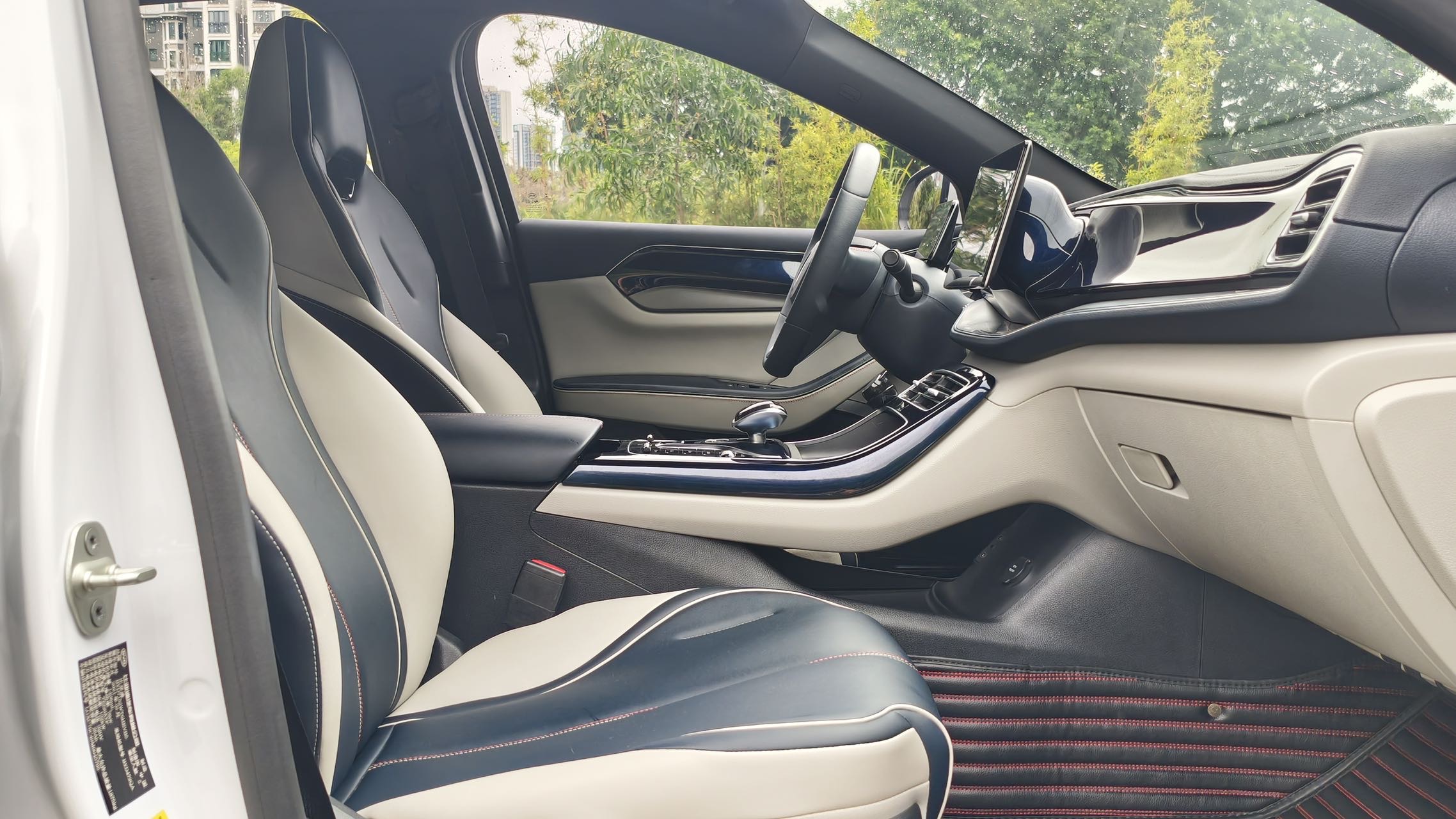 BYD Qin Plus 2021 immagine di auto #8