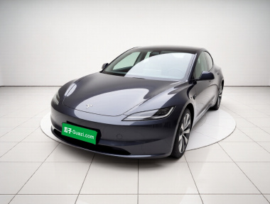 Tesla Model 3 2024 Tesla Model 3 2024 car image