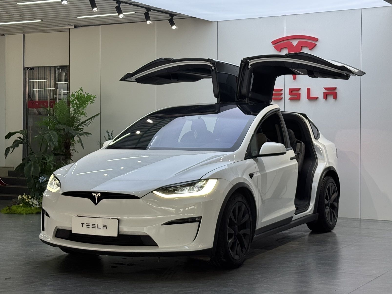 Tesla Model X 2023 car image 