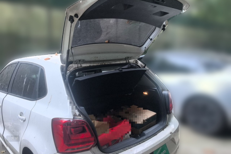 Volkswagen Polo 2018 car image #21