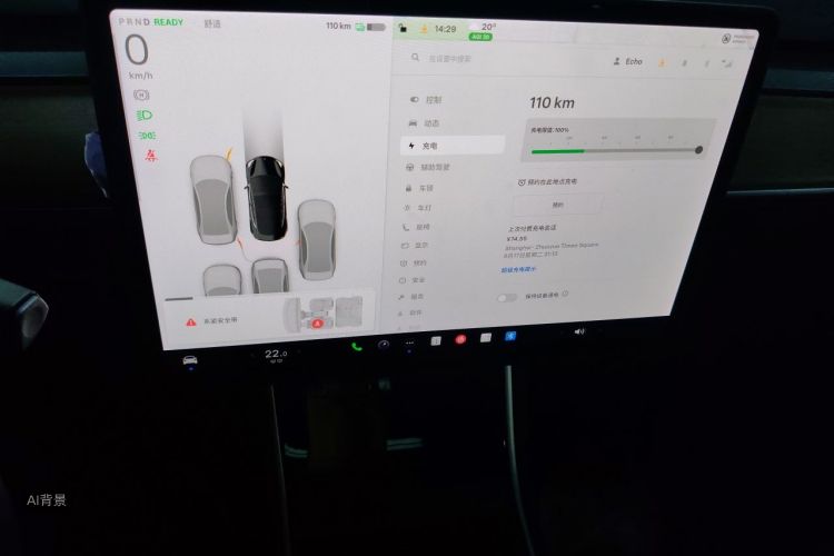 Tesla Model 3 2020 immagine di auto #13