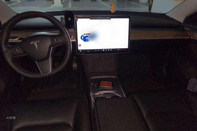 Tesla Model 3 2021 car image #11