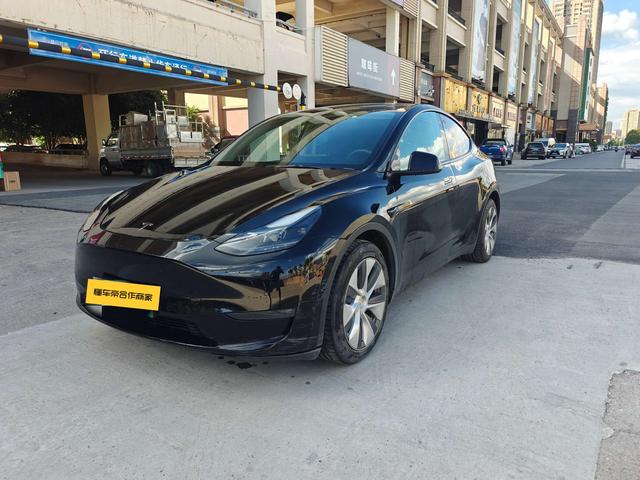 Tesla Model Y 2021 car image #14
