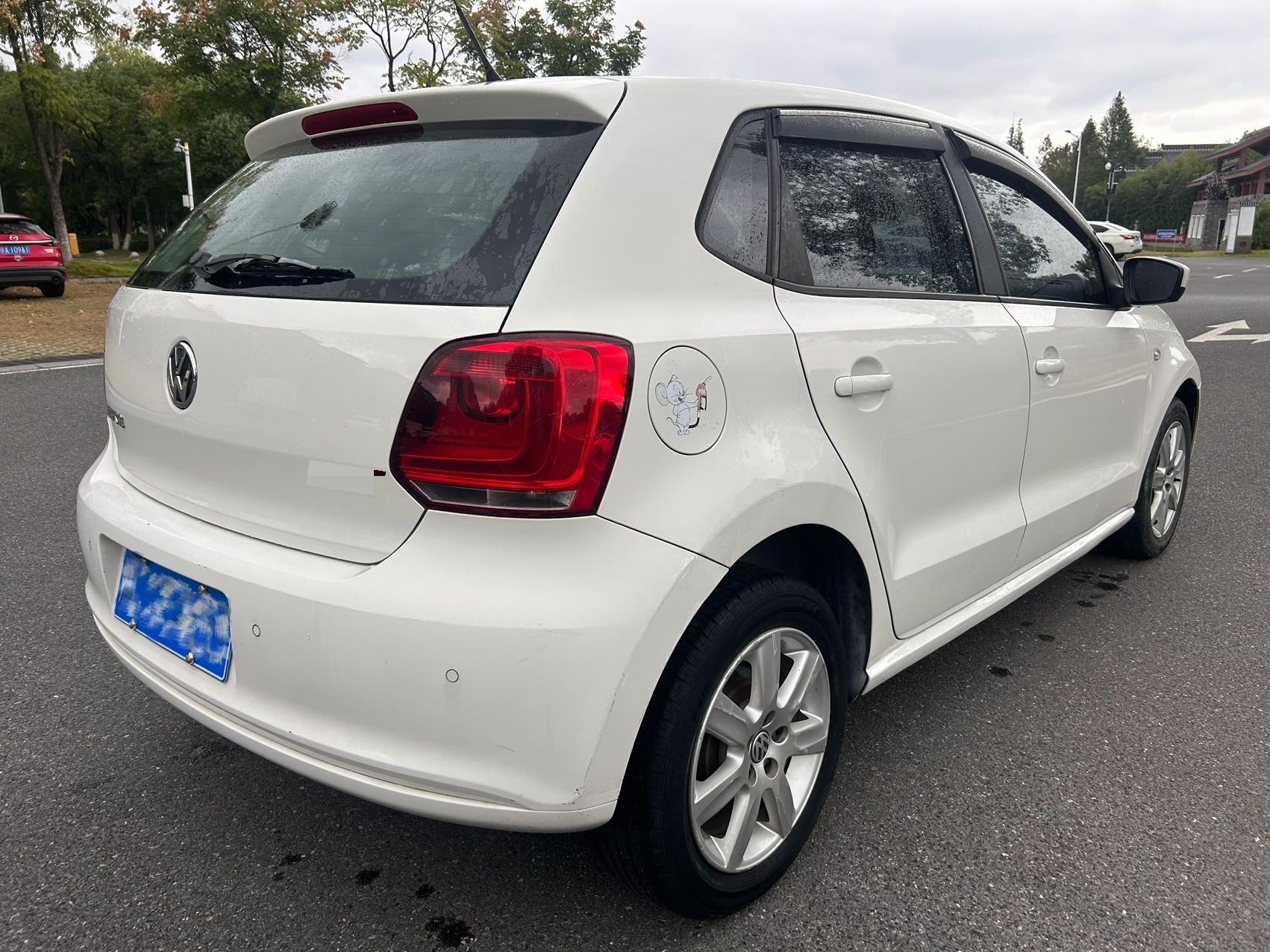Volkswagen Polo 2013 car image #8