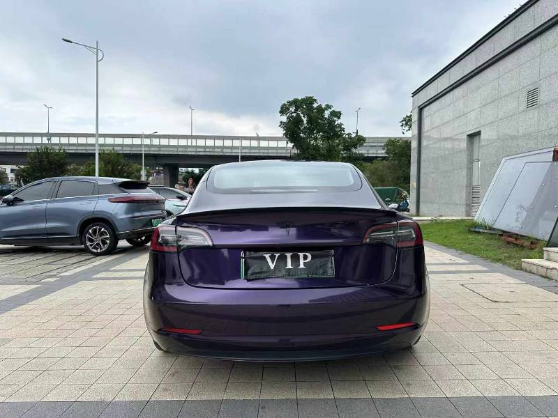 Tesla Model 3 2020 car image #8
