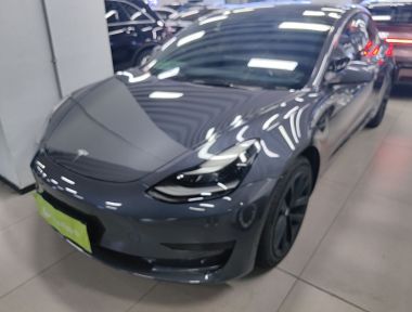 Tesla Model 3 2021 Tesla Model 3 2021 immagine di auto