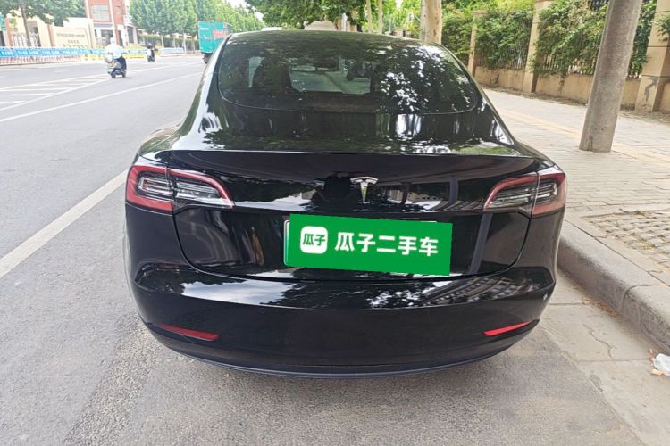 Tesla Model 3 2021 car image #6