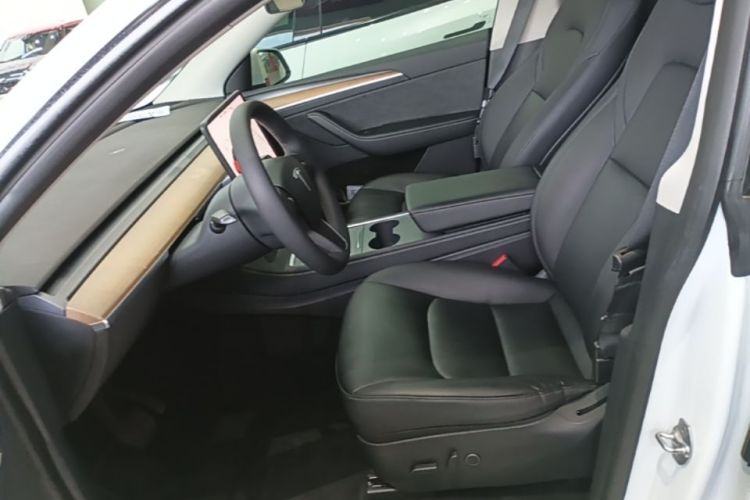 Tesla Model Y 2021 car image #15