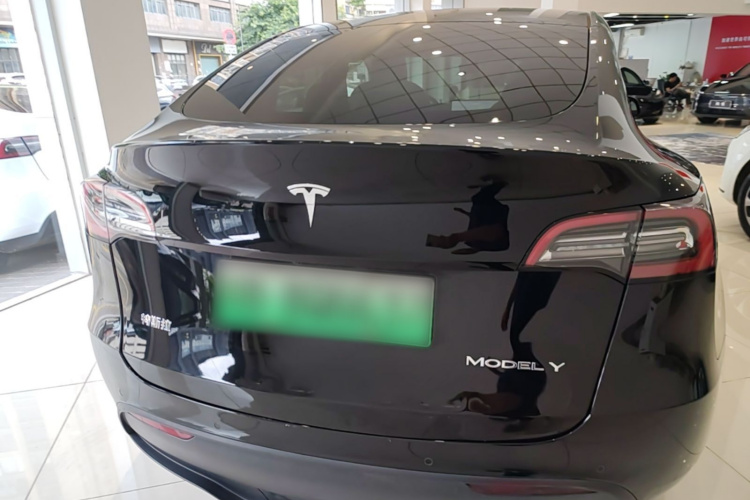 Tesla Model Y 2021 #6 Tesla Model Y 2021 car image #6