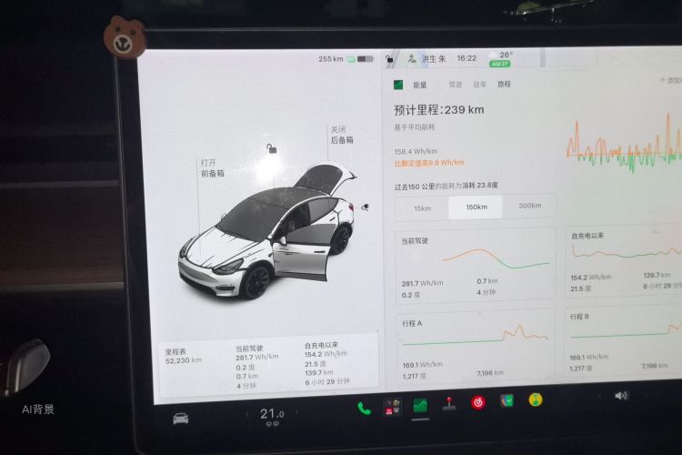 Tesla Model Y 2021 car image #15