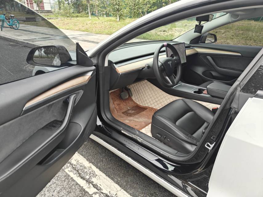 Tesla Model 3 2021 #6 Tesla Model 3 2021 car image #6