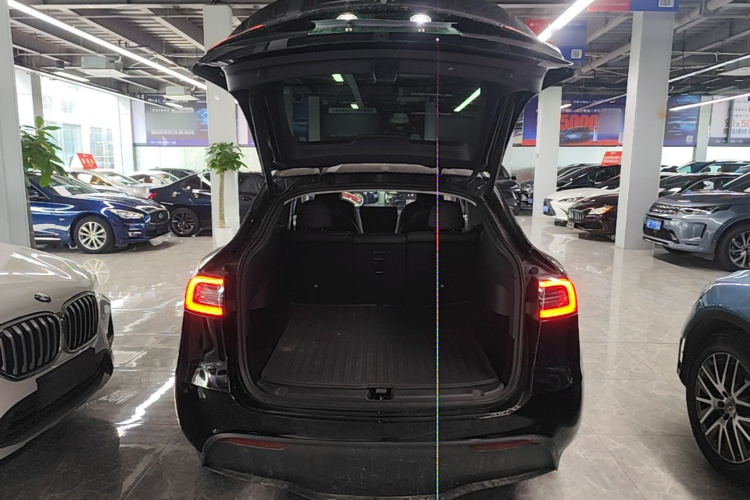 Tesla Model Y 2023 #20 Tesla Model Y 2023 car image #20