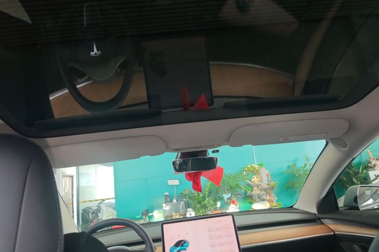 Tesla Model 3 2022 immagine di auto #18