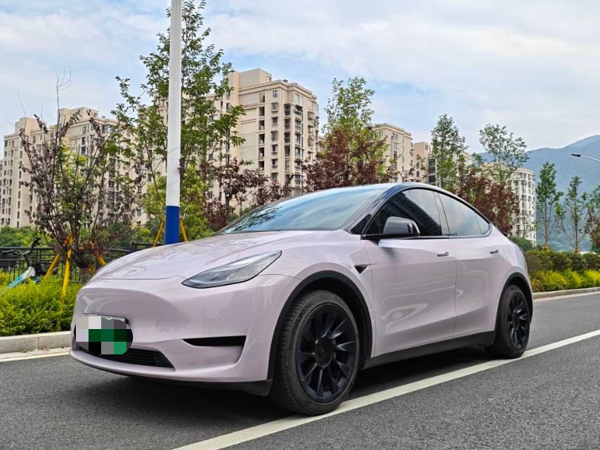 Tesla Model Y 2022 Tesla Model Y 2022 car image