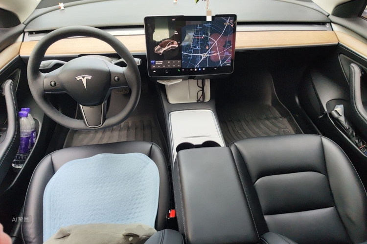 Tesla Model 3 2021 car image #11