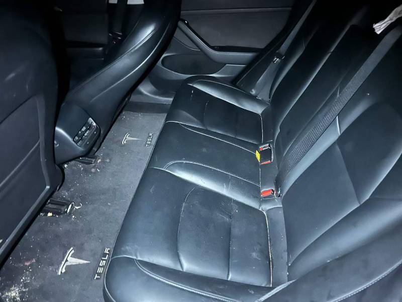 Tesla Model 3 2021 #4 Tesla Model 3 2021 car image #4