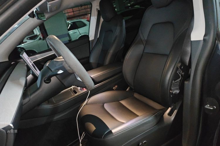 Tesla Model Y 2024 car image #17