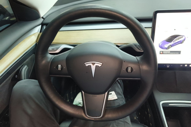 Tesla Model 3 2021 car image #11