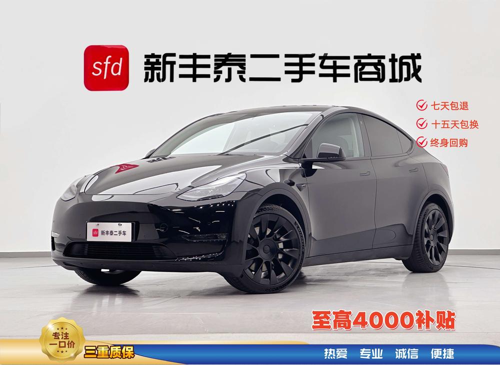 Tesla Model Y 2021 #10 Tesla Model Y 2021 car image #10