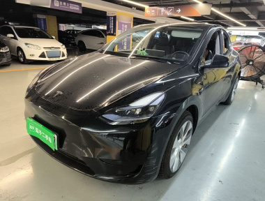 Tesla Model Y 2022 Tesla Model Y 2022 car image