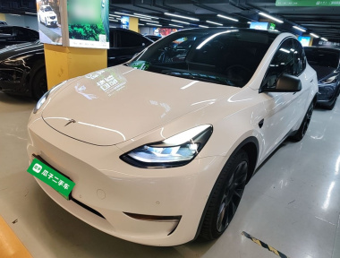 Tesla Model Y 2021 car image 